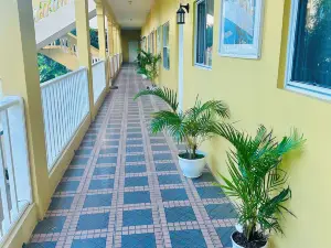 Spring Palm Estate