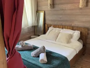 Cosy Forrest Cabin near the Beach