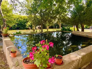 Quinta da Cumieira