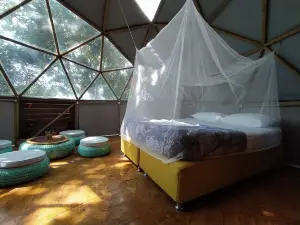 Domo Lodge, Disfruta Habitando Espacios Naturales
