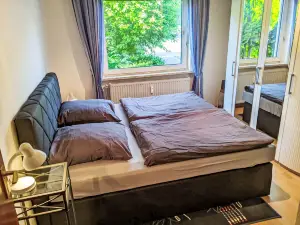 Harzsonne