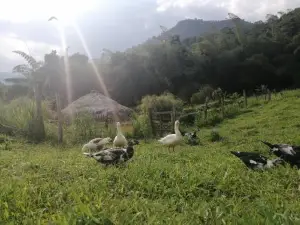 Cabana Independiente en Granja Agroecologica