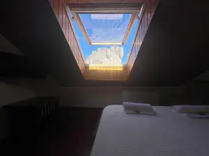 카사 알베르토