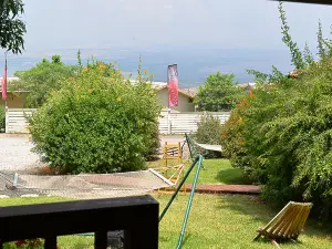 Nof Kinnert