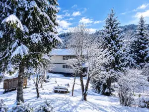 Chalet in Zweinitz Near Ski Slopes