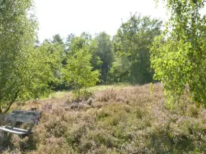 Schäferwagen Auf'm Minibauernhof in Munster