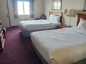 べアートゥース イン