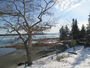 Acadia Ocean Front Garden Cottages