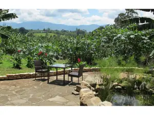 Koi Koi, Fort Portal