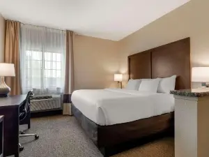 Comfort Inn & Suites Macon