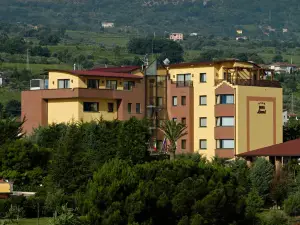 Hotel Lemi