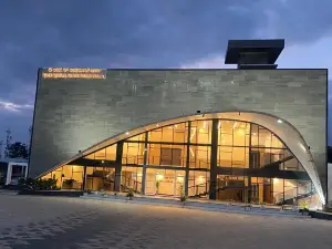 Hotel the Royal Shalimar