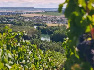 Petille en Champagne, Parking -Terrasse -5 Min Gare - Centre Ville -Rdc