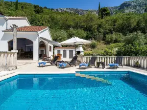 Villa Niko