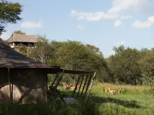 Elewana Serengeti Pioneer Camp