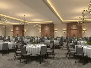 The Ophelia Hotel Marble Falls, Tapestry Collection by Hilton