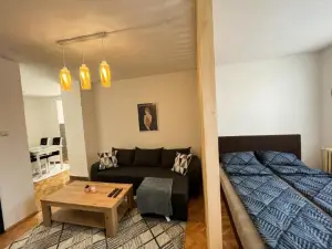 Apartman MS