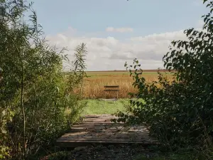 Raus | Cabins Mit Feldblick + Saunazugang