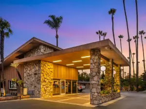Best Western Pine Tree Motel