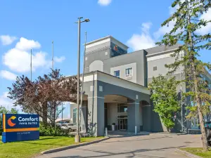 Comfort Inn & Suites Airport South