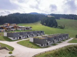 Naturpark Chalets Lambrecht by Alps Resorts