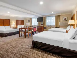 Comfort Inn & Suites Durango