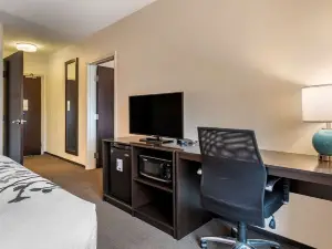 摩押-近拱門國家公園舒眠套房飯店