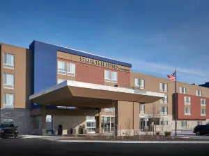 SpringHill Suites by Marriott Wixom Novi