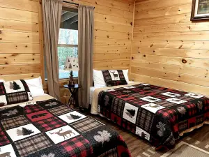 Cozy Adirondack Cabin Nestled in the Forest Only Footsteps Away From Big Moose Lake, New York