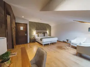 Hotel Palacio de Arriba