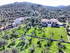 Gera's Olive Grove - Elaionas Lesvou