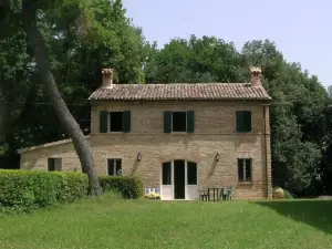BB Sanvalentino