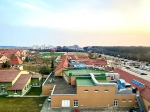 Green Pipera 1