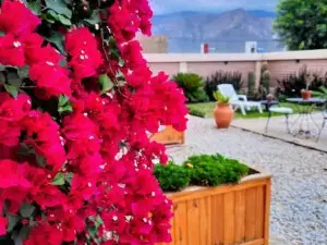 Luna de Cafayate Hotel Boutique