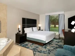 Hampton Inn Austin/Oak Hill