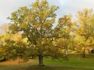 Brīvdienu māja Dukāti