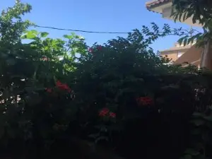 Casa de Aurora