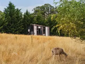 The Ridge by Tiny Away