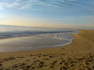 Oceane