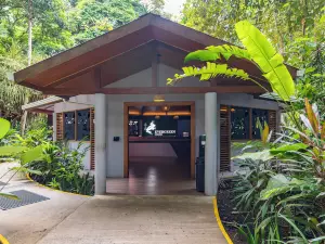 Evergreen Lodge