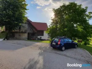 Apartment Pri Damijanu