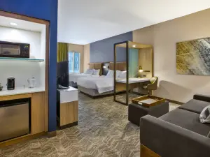 SpringHill Suites Pittsburgh Butler/Centre City