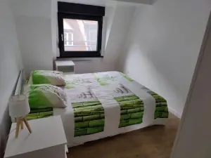 Le Green Duplex moderne en hypercentre
