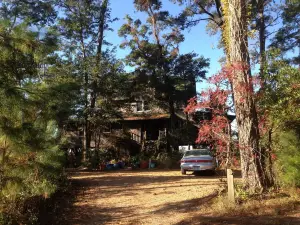 柏樹月亮酒店