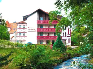 Regiohotel Germania am Kurpark Bad Harzburg