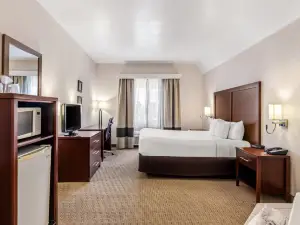 Comfort Inn Elko