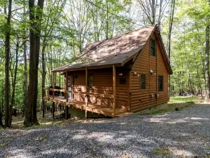 Cozy Cabin with Fire Pit and Games in Paw Paw, West Virginia