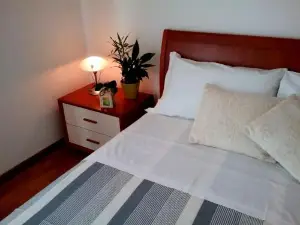 Appartamento ai Tigli