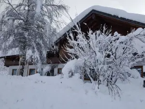 Aqua Domus Sappada