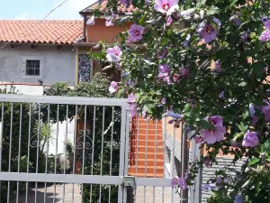 Bed and Breakfast Al Laghetto